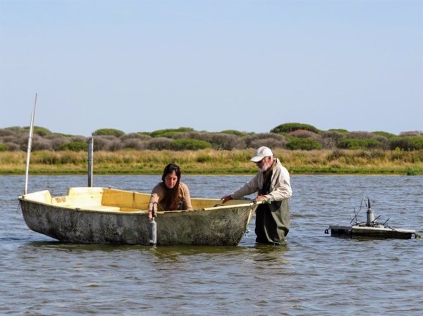 Doñana en 2024 fue