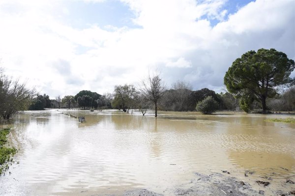 La Estación Biológica de Doñana indica que las últimas lluvias tienen 