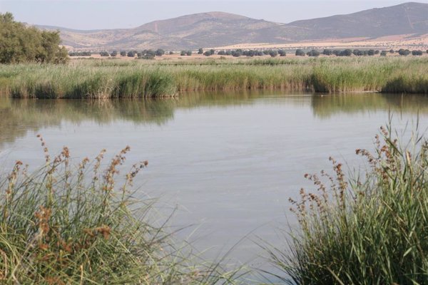 Los regantes del Guadiana piden que no se les estigmatice y recuerdan que gracias a ellos hay alimentos de calidad