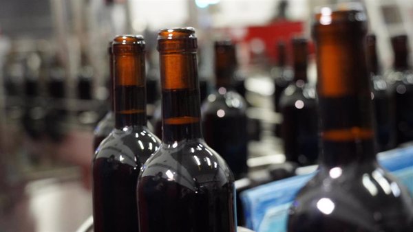 La comercialización de vinos con DO La Mancha se estabilizó en 2024 con 60 millones de botellas