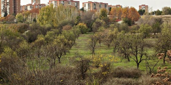 La Comunidad de Madrid protegerá la Huerta de Mena, lugar de encuentro de Ortega y Gasset, Alberti y otros intelectuales