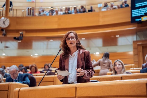 Mónica García culpa a los gobiernos del PP de lastrar el 