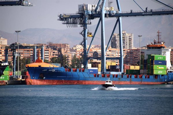 Un biofiltro hecho con algas del Mediterráneo pretende purificar 30.000 m3 de agua del puerto de Alicante