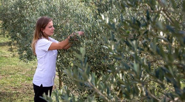 BBVA lanza la VI edición de los Premios a los Mejores Productores Sostenibles en apoyo al emprendimiento rural joven