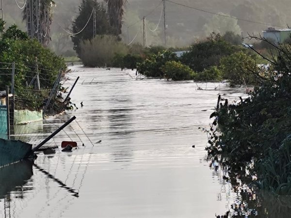 El Ayuntamiento de Alhaurín de la Torre (Málaga) activa el plan municipal de emergencia por la crecida del Guadalhorce