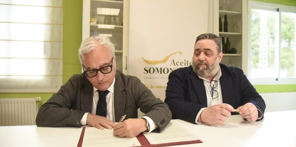 Aceite del Somontano logra la Protección Nacional Transitoria para comercializarse como Denominación de Origen