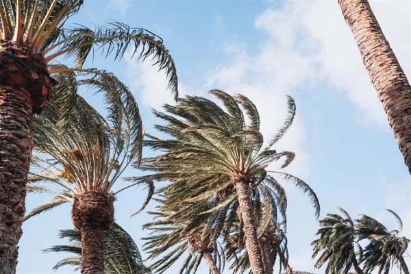 Canarias, en prealerta por viento muy fuerte con rachas de hasta 80 kilómetros por hora desde las 18:00 horas