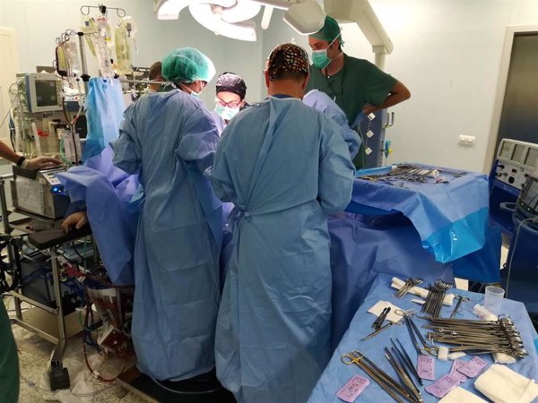 Médicos, trabajadores de las TIC y profesores tienen las menores tasas de paro en España, según el INE