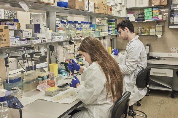 El impulso de la I+D+I+d supone el 37% de la ejecución de los fondos europeos, según Fundación Cotec