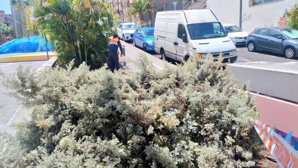 Más de 100 incidencias atendidas en Tenerife con la alerta máxima por vientos de la borrasca 'Nuria'