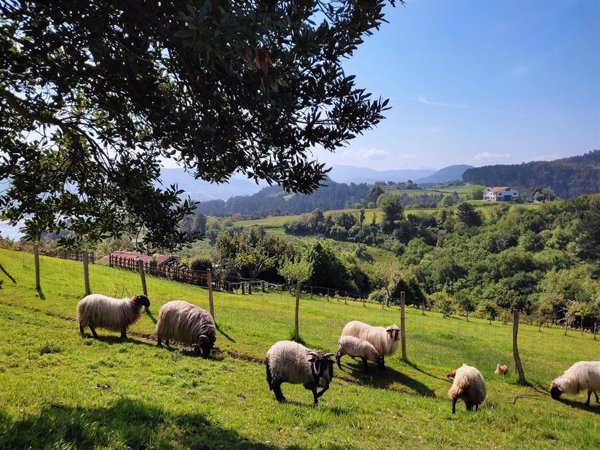 Fundación Mapfre lanza las Ayudas +Rural 2025, dotadas con 18 millones para impulsar proyectos sociales en zonas rurales