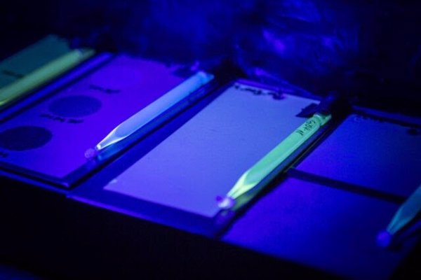 Día de la Cuántica: Centros tecnológicos españoles aceleran la computación cuántica para avanzar en ciencia e industria