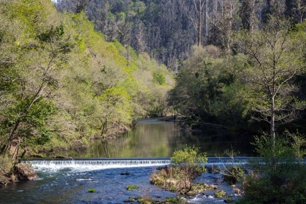 Galicia recomienda no bañarse en playas y ríos las próximas 24 horas por falta de tratamiento de aguas