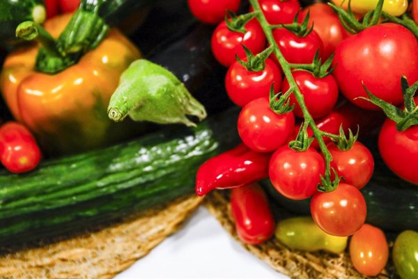 Las exportaciones agroalimentarias crecieron un 5,9% en 2024, hasta los 74.231 millones, según Cajamar