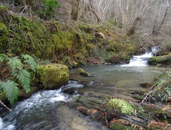 Confederación Hidrográfica del Ebro advierte de crecidas súbitas en barrancos y cauces menores en Álava por la lluvia