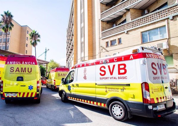 Herido un niño de 3 años tras ser atacado por un perro en Orihuela (Alicante)