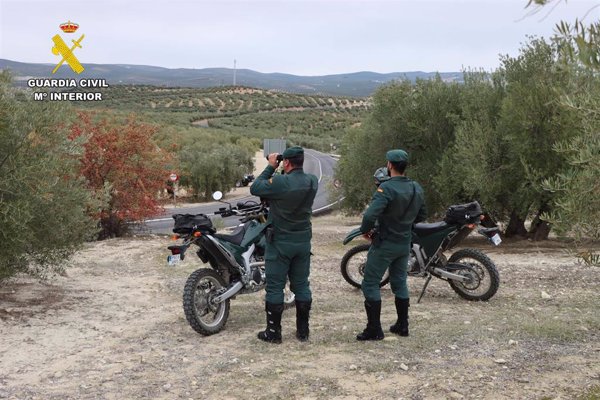 Investigado el dueño de una finca por presunto maltrato a varios perros de los cuales tres murieron