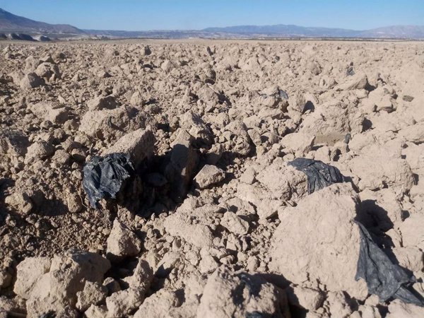 Analizan la relación de bacterias con restos plásticos agrícolas para combatir su impacto en el campo