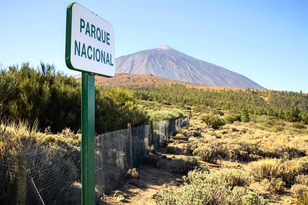El Cabildo de Tenerife promueve la regulación del Teide: lanzaderas eléctricas, ecotasa, más agentes y un 