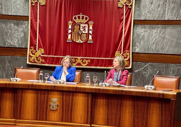 Una mujer fue asesinada por violencia machista cada 7,6 días en 2024, un 25% en localidades pequeñas, según CGPJ