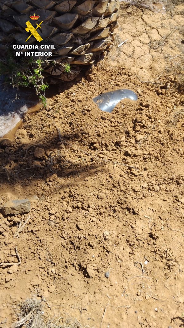 Identificada la propietaria de un perro por enterrar su cadáver en la vía pública de Fuerteventura