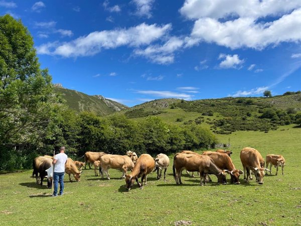 Gobierno autoriza distribuir 158,2 millones entre las CCAA para financiar intervenciones de desarrollo rural