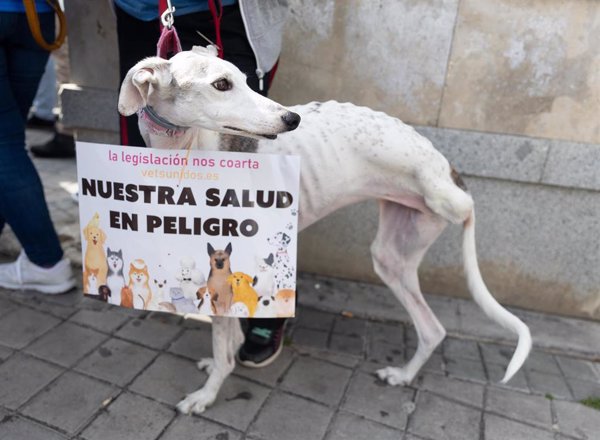 Los veterinarios piden a los diputados por carta la derogación 