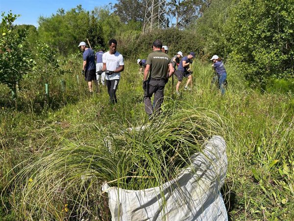 SEO/BirdLife celebra la SEI2025, la semana con 200 actividades para concienciar sobre los impactos de especies invasoras