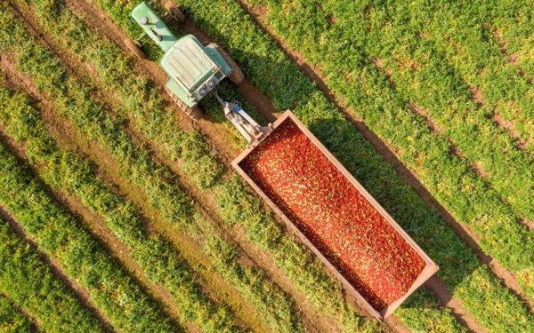 Asaja alerta de que la reducción de la jornada puede agravar la crisis del campo si no se adapta a su realidad