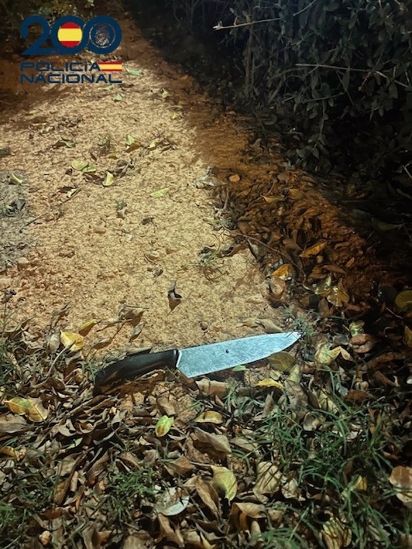 Detenido un menor por un delito de robo con violencia y tentativa de homicidio en Palma