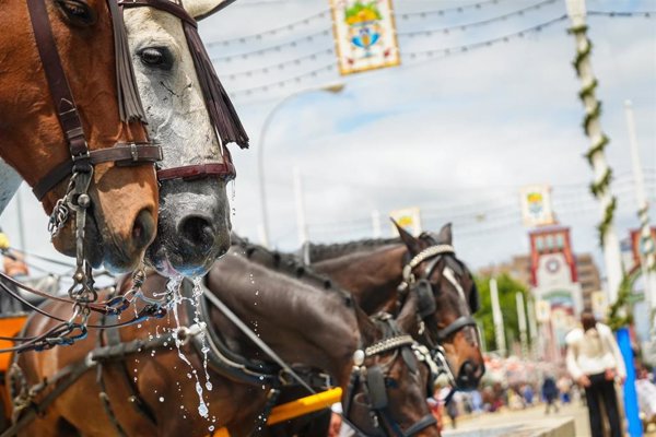 Varias reyertas en el entorno de la feria de Sevilla dejan tres detenidos y dos heridos, uno menor
