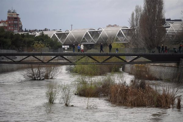 Organizan este domingo una jornada en defensa de las aves en Madrid Río y contra las luces en el río Manzanares
