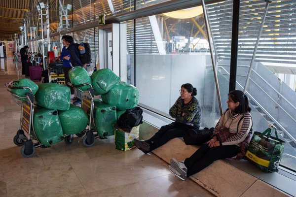 Empresa especializada descarta una plaga de insectos en Barajas y apunta a