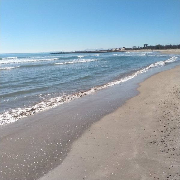 Subdelegación en Valencia dice que las playas del sur 