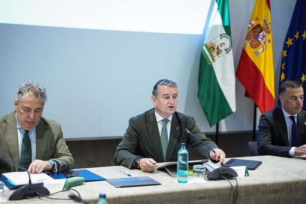 La Junta pide su personación para apoyar que la Audiencia de Sevilla eleve al TJUE las sentencias del TC por el caso ERE