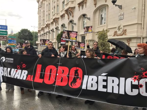 PACMA exige devolver al lobo al LESPRE con una protesta frente al Congreso: 