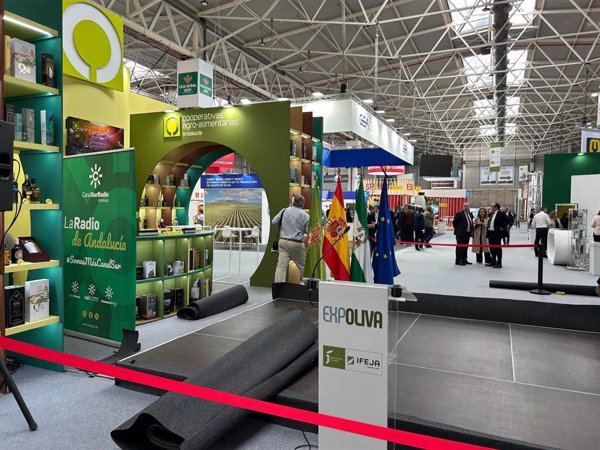 Más del 65% del aceite de oliva español se produce en empresas cooperativas