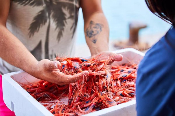El Ministerio de Agricultura, Pesca y Alimentación fija los topes de captura de gamba roja en el Mediterráneo