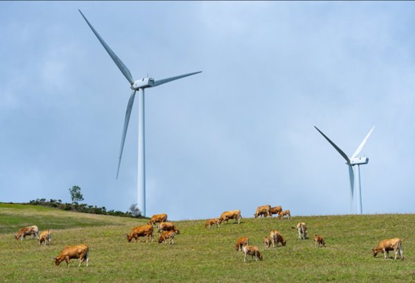 Acciona y Acciona Energías Renovables caen en Bolsa tras publicar cuentas y previsiones