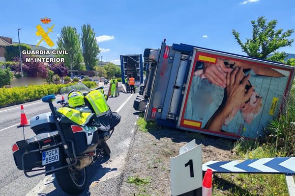 Un camión cargado con 1.200 lechones vuelca en la N-234, en Montón (Zaragoza)