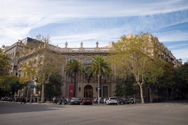 El Cicac abordará en la Taula d'Infància la violación a una niña que estaba a cargo de la Dgaia
