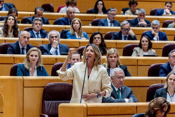 El Senado exigirá al Gobierno una investigación independiente sobre el apagón que no la hagan 