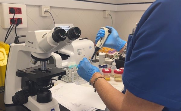 La Fundación Vithas coordina actualmente 287 proyectos de investigación, entre los que se incluyen 146 ensayos clínicos