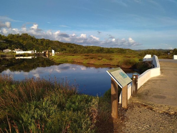 El Govern comienza los actos para conmemorar el 30 aniversario del Parque Natural de s'Albufera des Grau (Menorca)