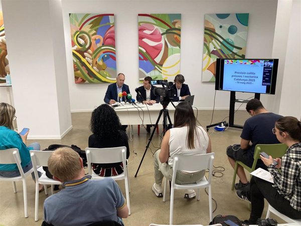 Cataluña prevé mantener su producción de fruta de hueso pese a las granizadas