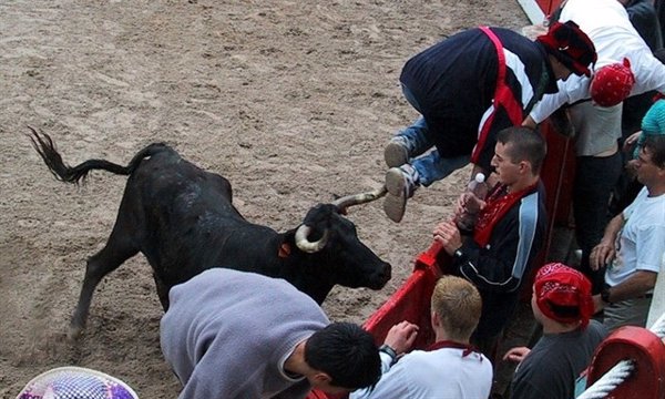 Fundación Franz Weber solicita al Gobierno de Cantabria que 