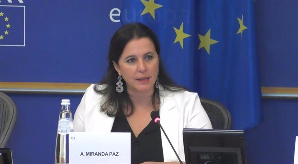 BNG alerta en Bruselas de la falta de alternativas para la descarbonización 