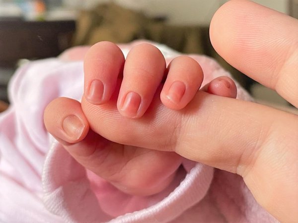 Son Nuestros Hijos organiza un congreso sobre gestación subrogada frente al