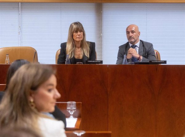 La Asamblea de Madrid cierra la 'comisión Begoña' en el Pleno de este jueves con el dictamen que irá a Fiscalía