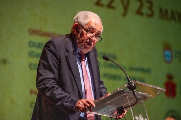 Pumpido recuerda que el TC resolverá los recursos al decreto ley de menores migrantes 